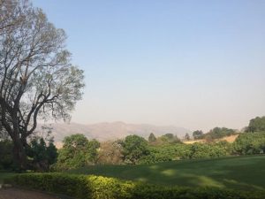swazi3